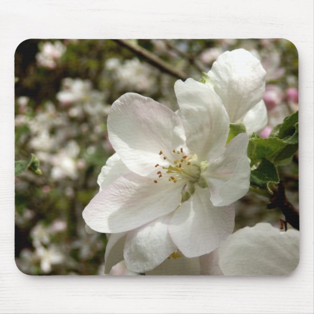 Apple Blossom Maus Mat Mousepad (Vorne)