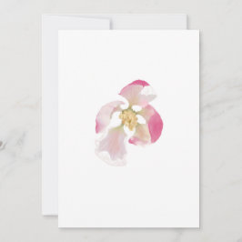 Apple Blossom Opening Feiertagskarte