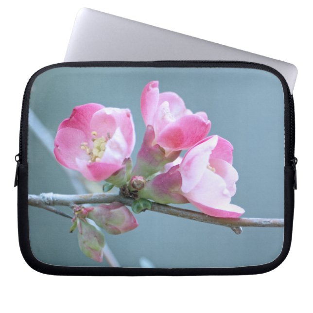 Apple Blossom #P0358 Laptop-Sieb Laptopschutzhülle (Vorderseite)