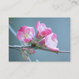 Apple Blossom #P0358 Mini Print Visitenkarte