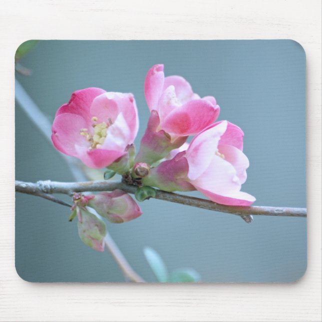 Apple Blossom #P0358 Mousepad (Vorne)