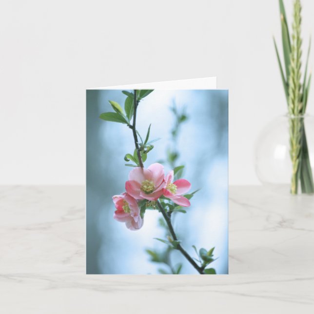 Apple Blossom #P0365 Karte (Vorderseite)
