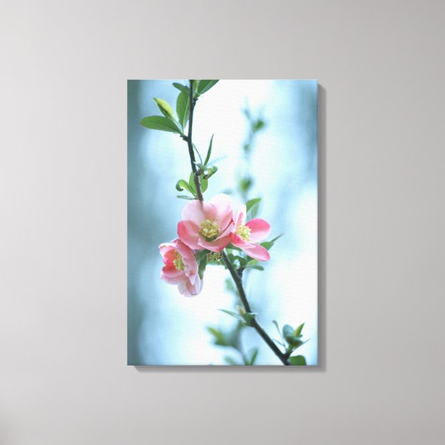 Apple Blossom #P0365 Leinwand (Vorderseite)