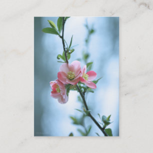 Apple Blossom #P0365 Mini Print Visitenkarte