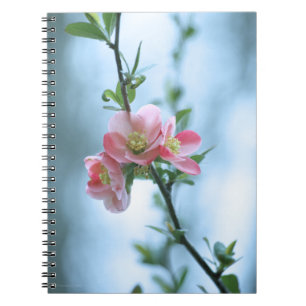 Apple Blossom #P0365 Notebook Notizblock