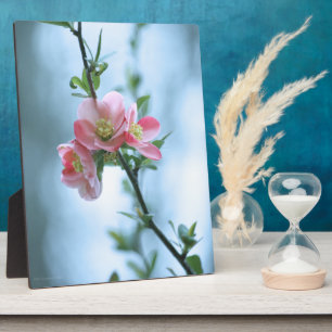 Apple Blossom #P0365 Plaque Fotoplatte