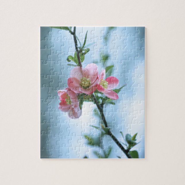 Apple Blossom #P0365 Puzzle (Vertikal)