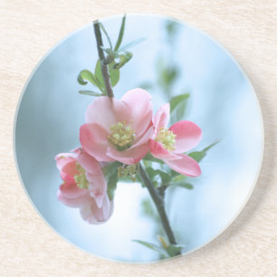 Apple Blossom #P0365 Untersetzer