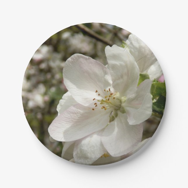 Apple Blossom Paper Teller (Vorderseite)