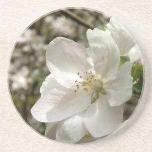 Apple Blossom Sandstone Untersetzer