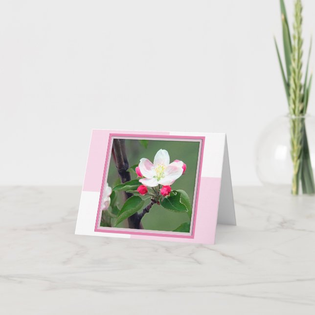 Apple Blossom Spring Note Card Karte (Vorderseite)