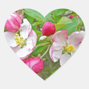 Apple Blossom Time Herz-Aufkleber