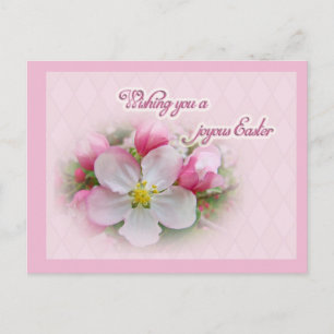 Apple Blossom Time - Joyous Oaster Feiertagspostkarte