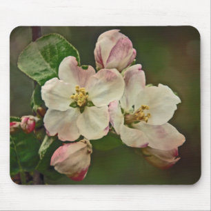 Apple Blossom Time Mousepad
