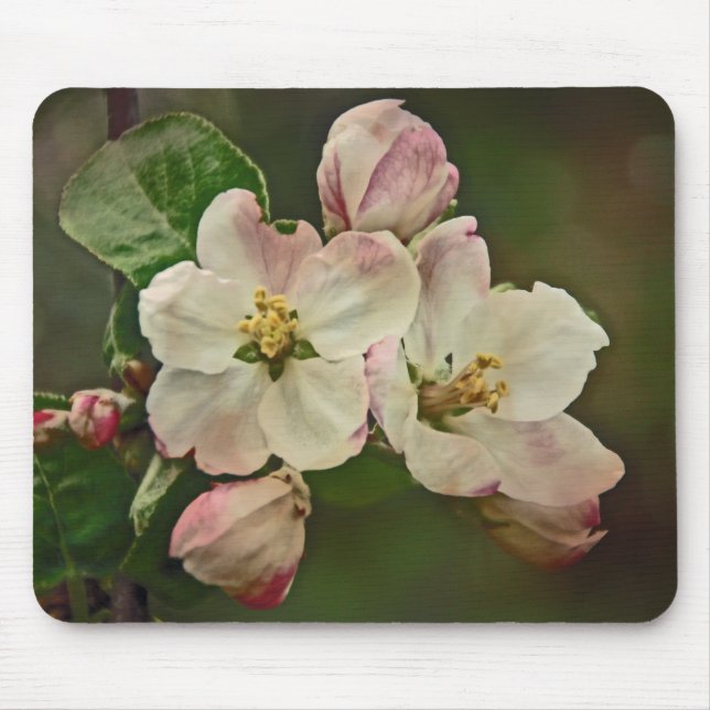 Apple Blossom Time Mousepad (Vorne)