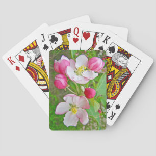 Apple Blossom Time Spielkarten