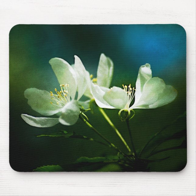 Apple Blossom - zwei Blume Mousepad (Vorne)