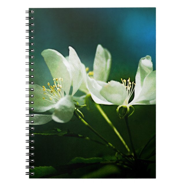 Apple Blossom - zwei Blume Notizblock (Vorderseite)