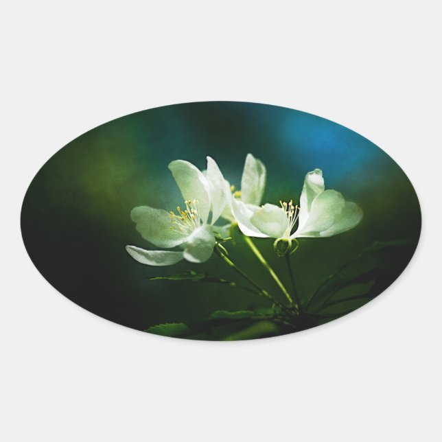 Apple Blossom - zwei Blume Ovaler Aufkleber (Vorderseite)