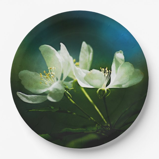 Apple Blossom - zwei Blume Pappteller (Vorderseite)