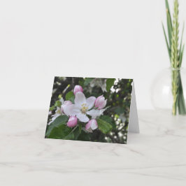 Apple Blossoms Danke Karte
