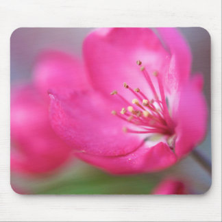 Apple blühen Mousepad