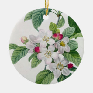 Apple blühen, von 'Les Choix DES plus Schönheite Keramik Ornament