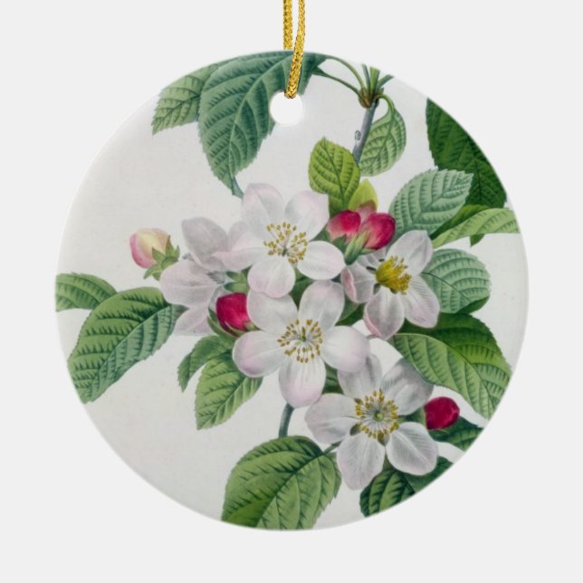 Apple blühen, von 'Les Choix DES plus Schönheiten Keramik Ornament (Vorne)