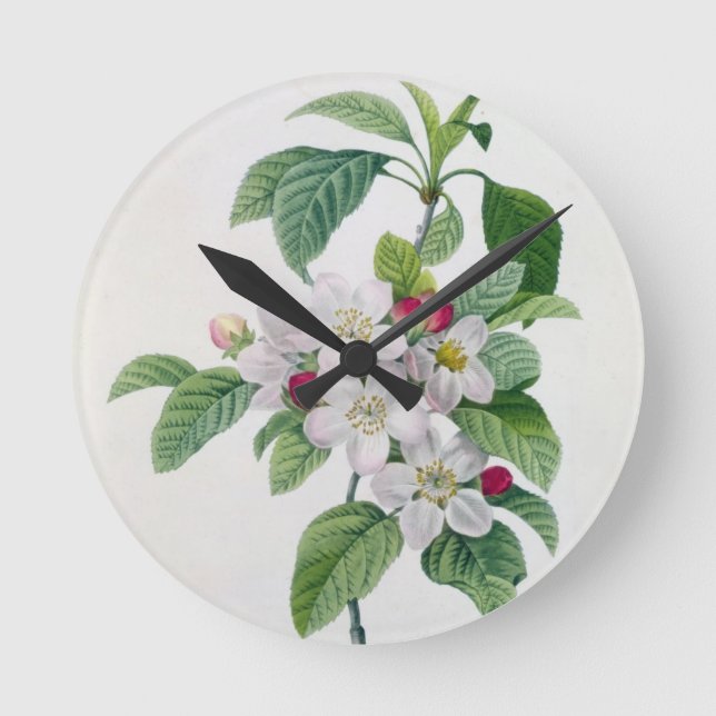 Apple blühen, von 'Les Choix DES plus Schönheiten Runde Wanduhr (Vorderseite)