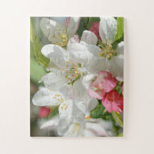 Apple blüht die übergroßen Blumen