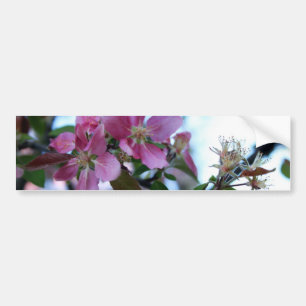 Apple-Blüten-Autoaufkleber Autoaufkleber