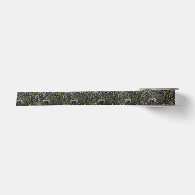 Apple-Blüten Satinband (Vorderseite)