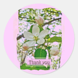 Apple Blüten Vielen Dank Stickers