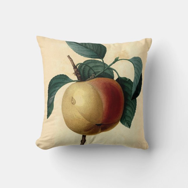 Apple Botanical Illustration Kissen (Vorderseite)
