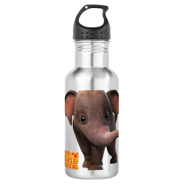Apple Edelstahlflasche (Vorderseite)