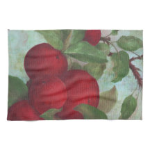 Apple Ernte, rot und grün