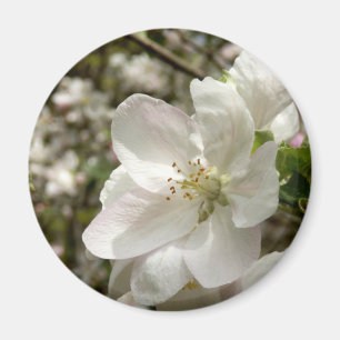 Apple fleurissent aimant