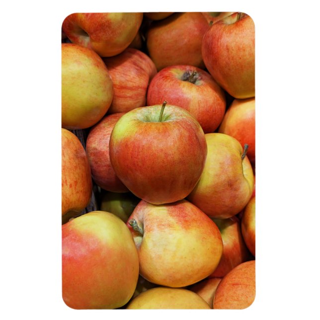 Apple Foto Magnet (Vertikal)