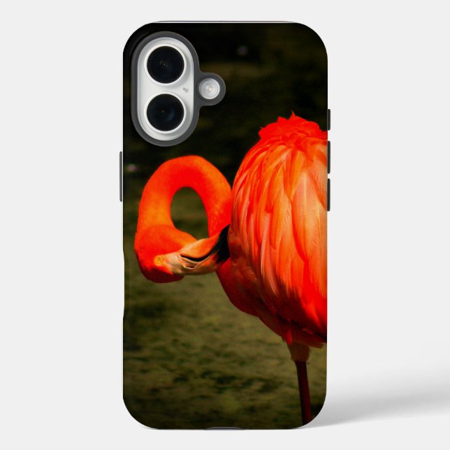 APPLE i PHONE CASE WITH A FLAMINGO DESIGN (Rückseite)
