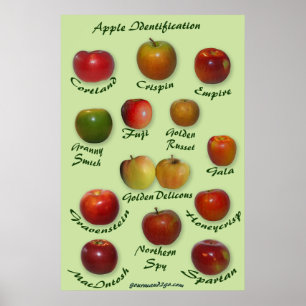 Apple-Identifizierung Poster