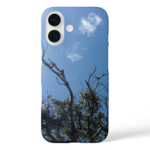 Apple iPhone 16 Gehäuse Stil und Design