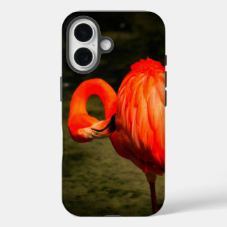 APPLE iPHONE-HÜLLE MIT FLAMINGO-DESIGN iPhone 16 Hülle