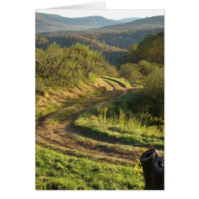 Apple Orchard, Caroline du Nord (Devant)