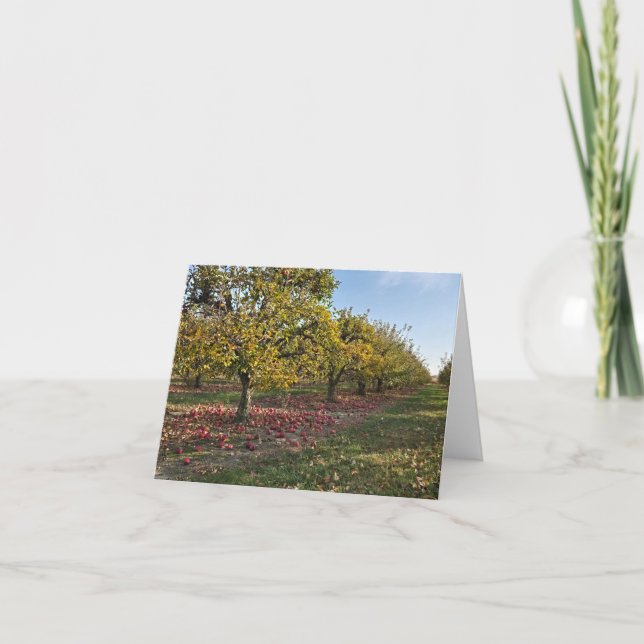 Apple Orchard Karte (Vorderseite)