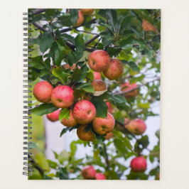 Apple Sauce-Kalender Planer