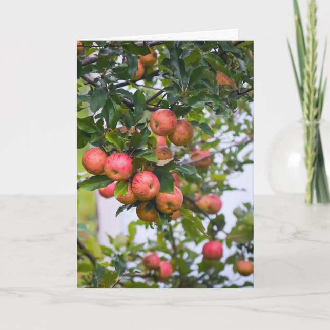 Apple Sauce Rezept Feiertagskarte (Vorderseite)