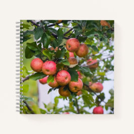 Apple Sauce Rezept Notizbuch