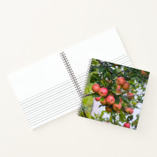 Apple Sauce Rezept Notizbuch