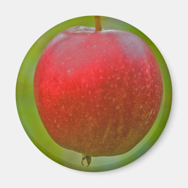Apple Summer Red Magnet (Vorne)