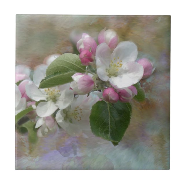 Apple Tree Blüten Fliese (Vorderseite)